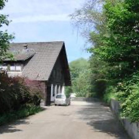 Ferienwohnungen Seeblick Unterkirnach 外观 照片