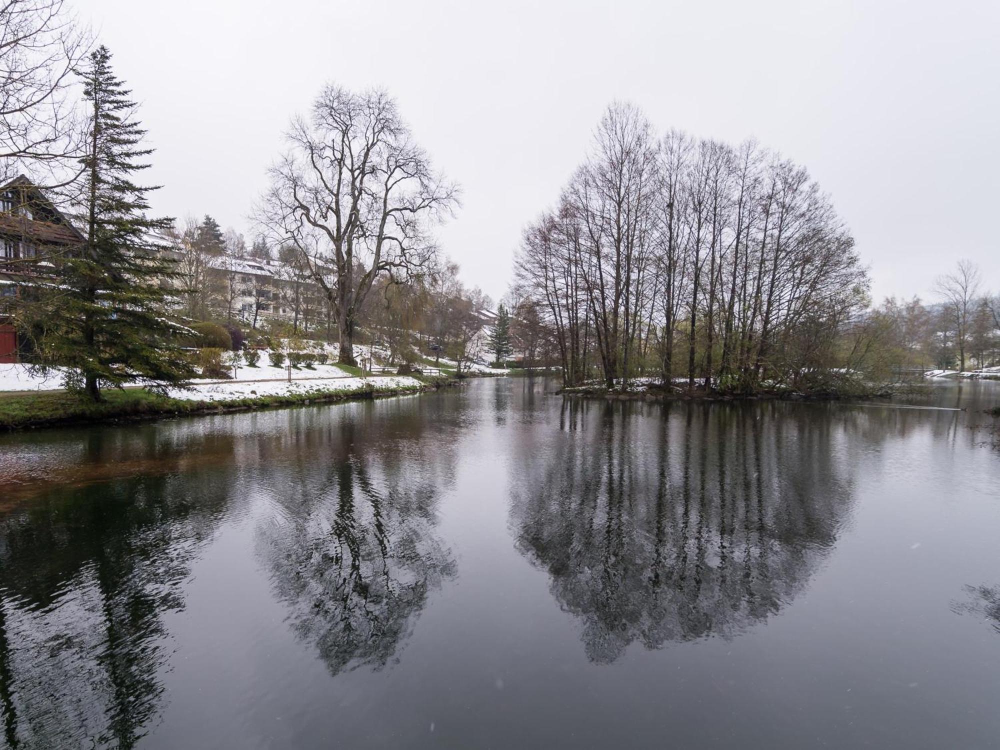 Ferienwohnungen Seeblick Unterkirnach 外观 照片
