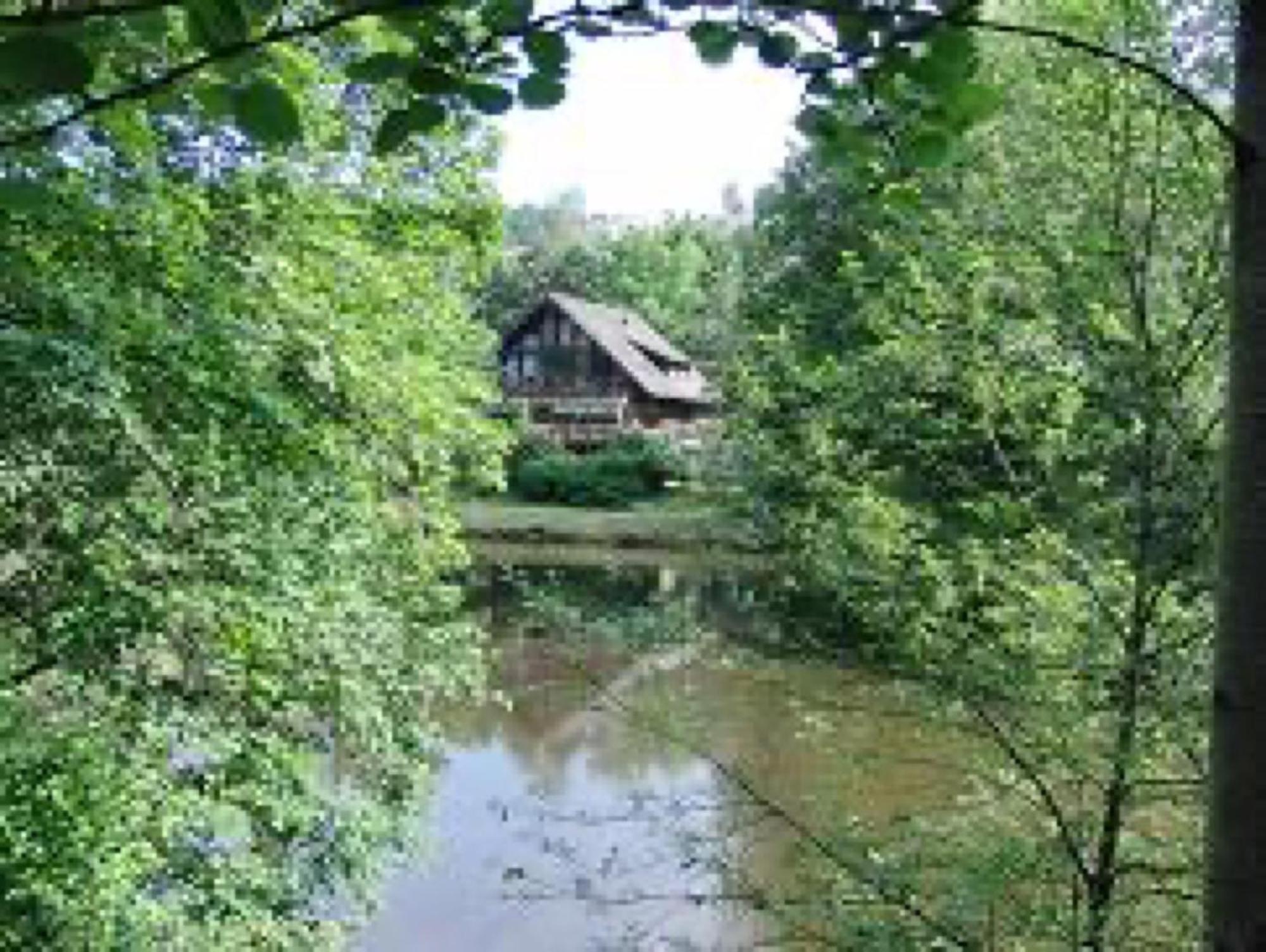 Ferienwohnungen Seeblick Unterkirnach 外观 照片