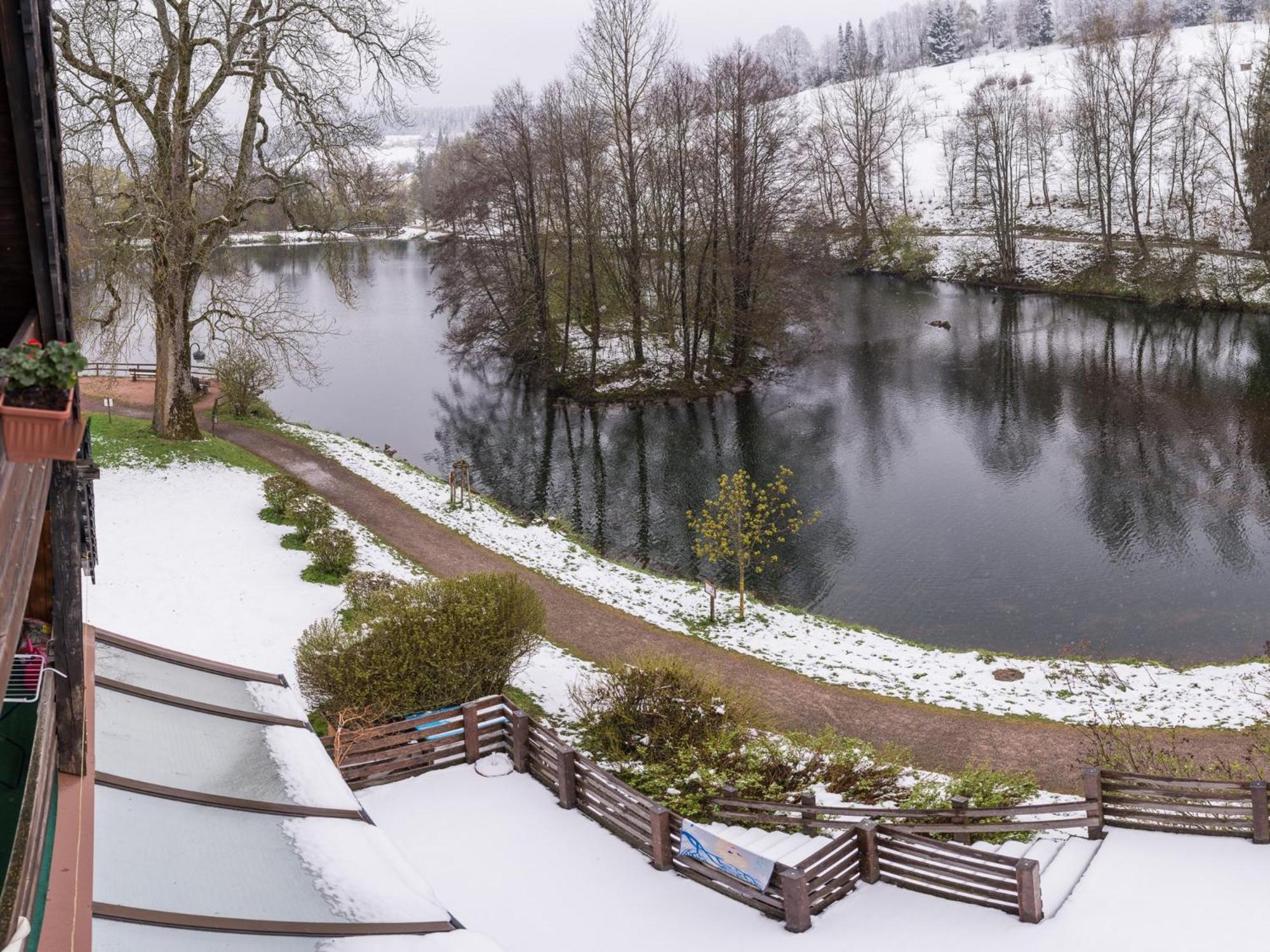 Ferienwohnungen Seeblick Unterkirnach 外观 照片
